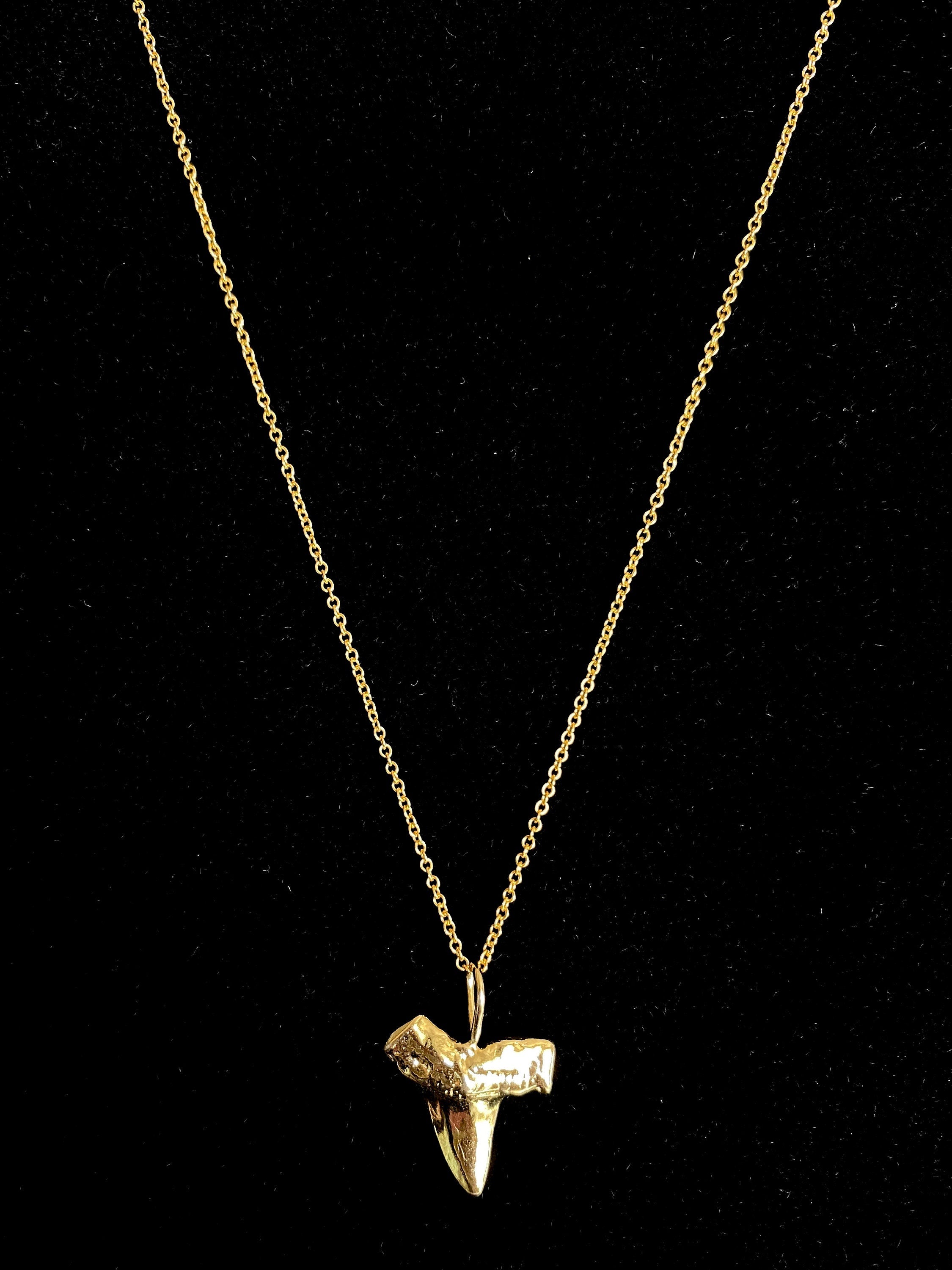 Gold Vermeil Shark Tooth Charm Necklace on 14K Gold Filled Chain