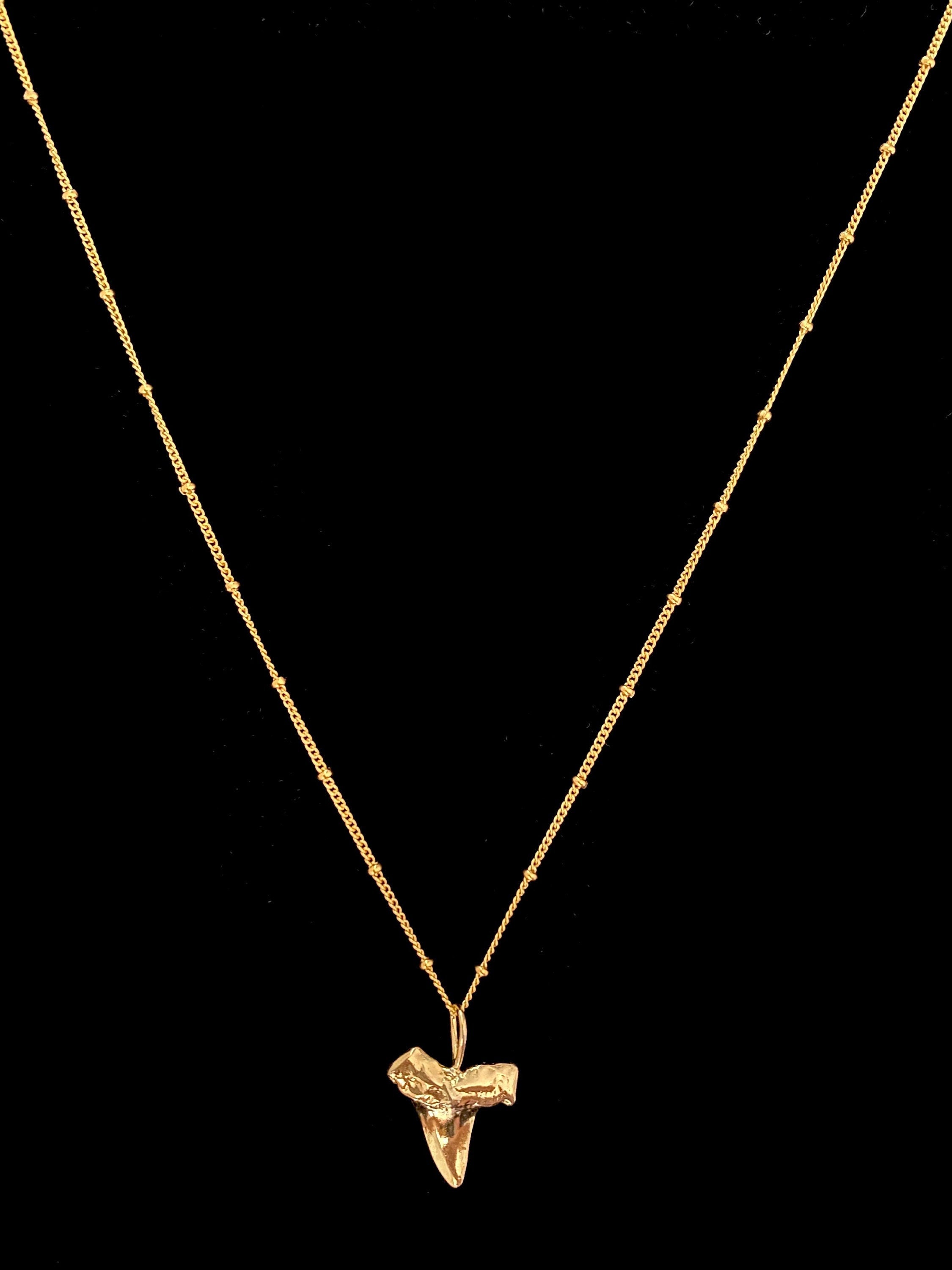 Gold Vermeil Shark Tooth Charm Necklace on 14K Gold Filled Chain