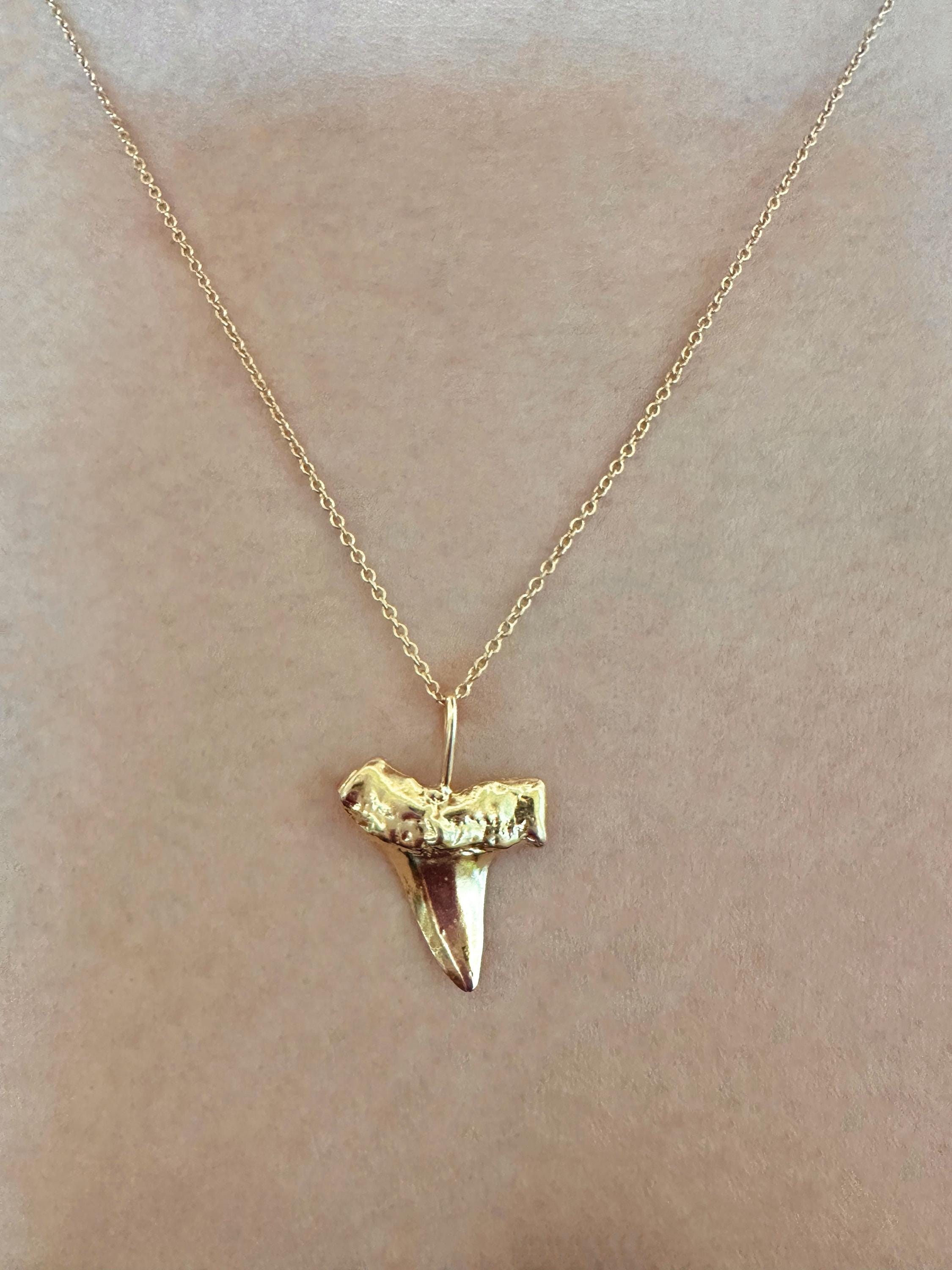 Gold Vermeil Shark Tooth Charm Necklace on 14K Gold Filled Chain