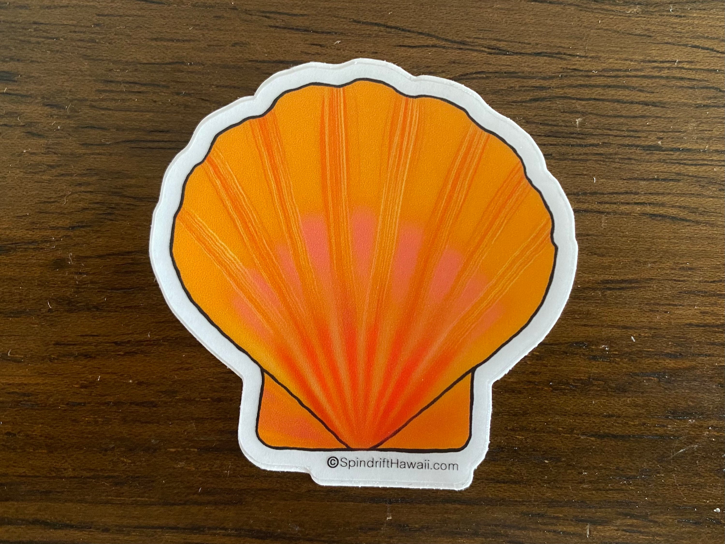 Classic Sunrise Shell Clear 2” Vinyl Die Cut Sticker