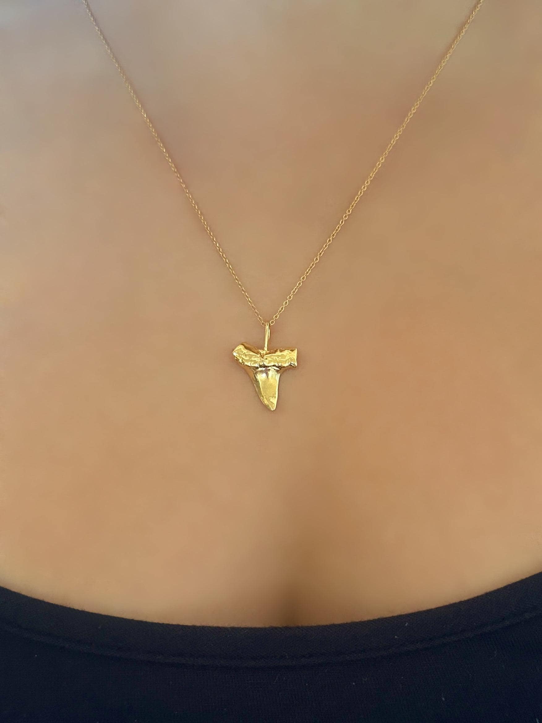 Gold Vermeil Shark Tooth Charm Necklace on 14K Gold Filled Chain