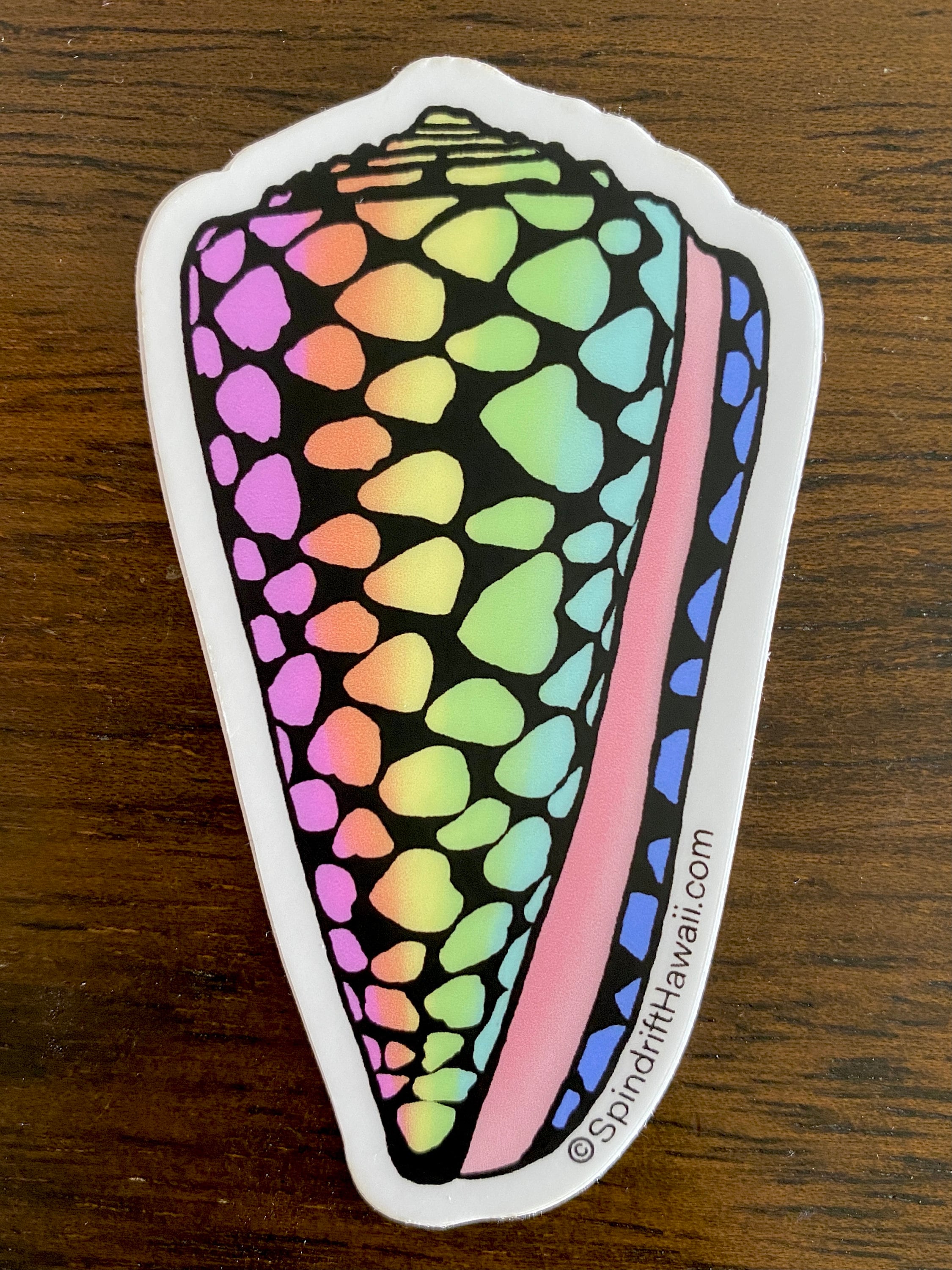Rainbow Marble Cone Shell Large 3” Vinyl Die Cut Sticker with White Border