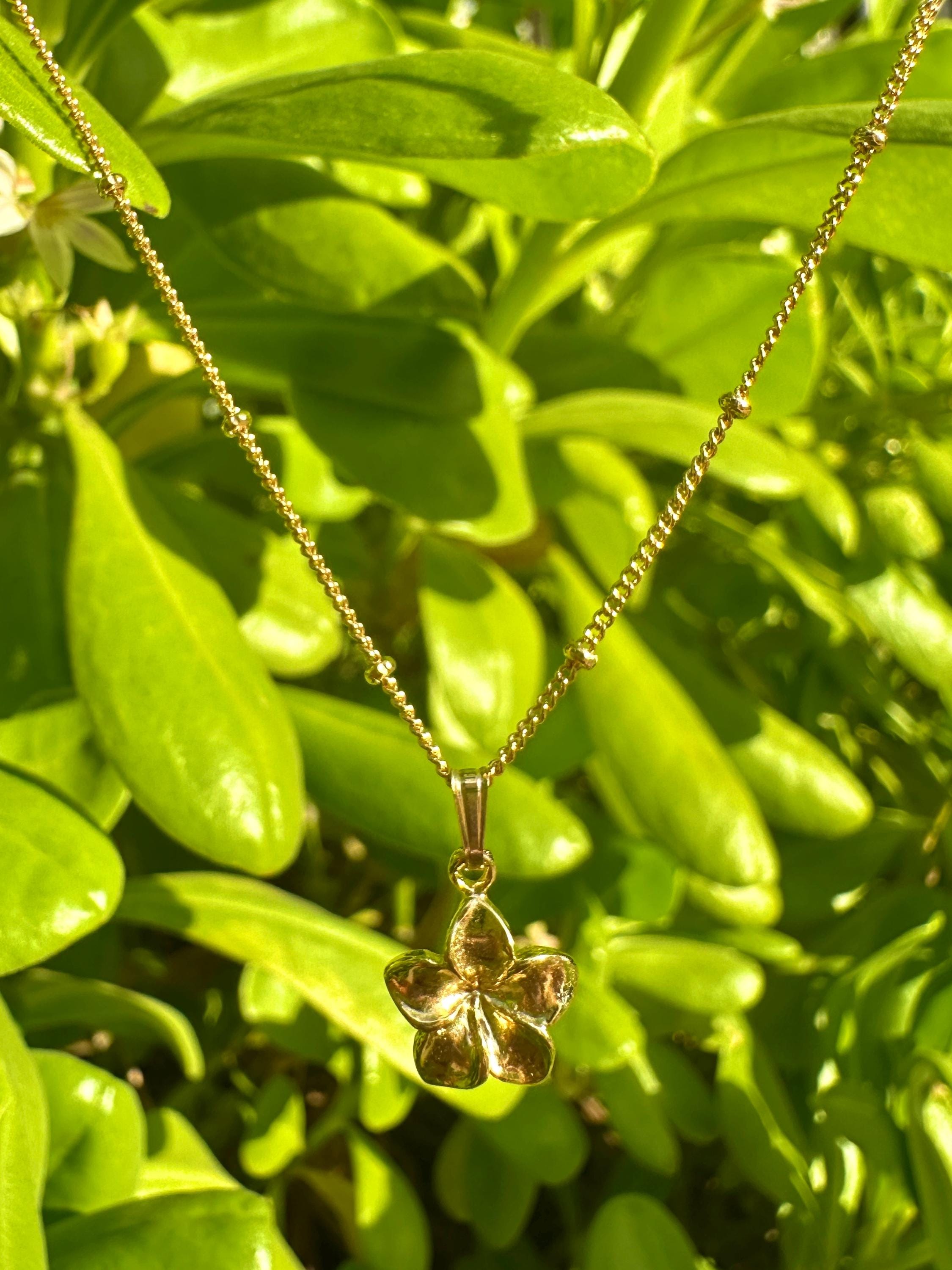 Plumeria Flower Hawaiian Frangipani Charm Necklace on 14K Gold Filled Chain