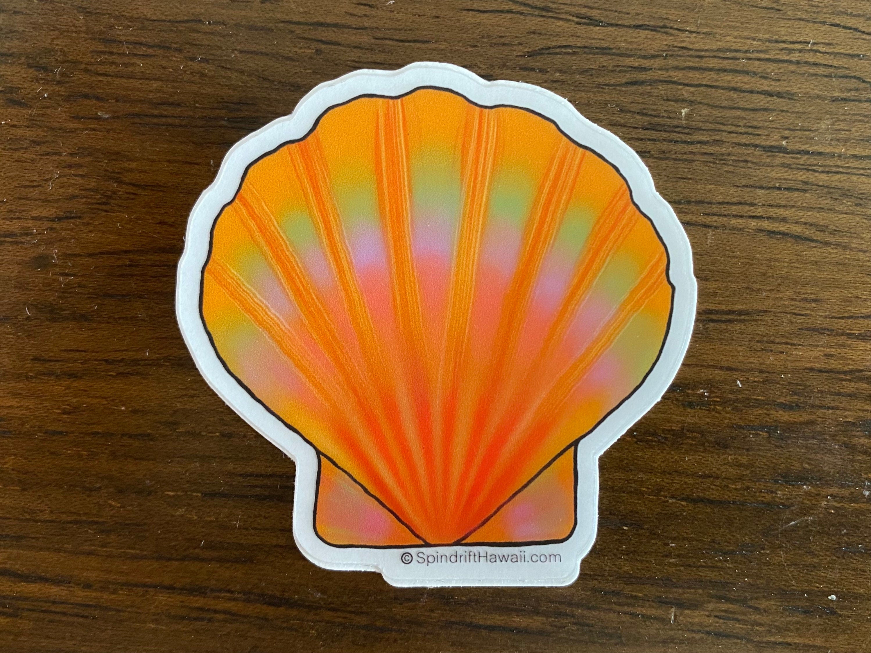 Rainbow Sunrise Shell Clear 2” Vinyl Die Cut Sticker