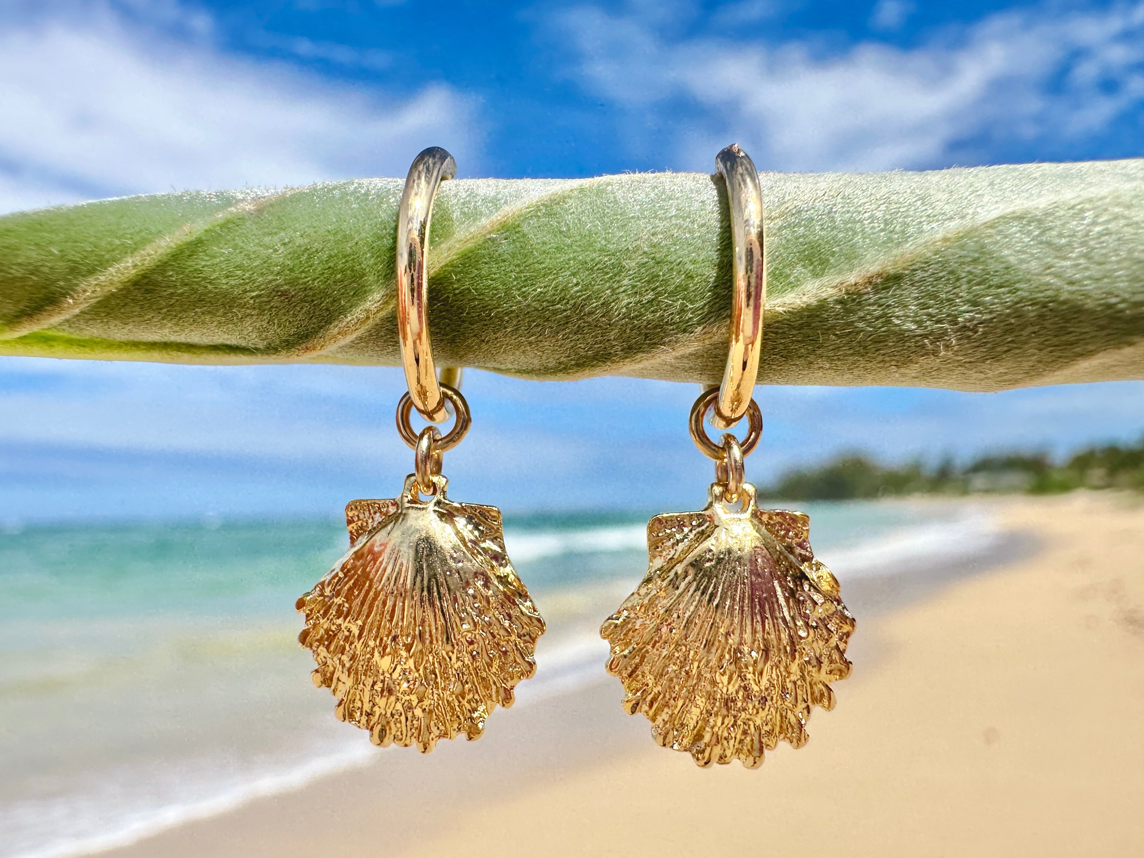 Medium Sunrise Scallop Shell Charm 18K Gold Filled Hoop Earrings