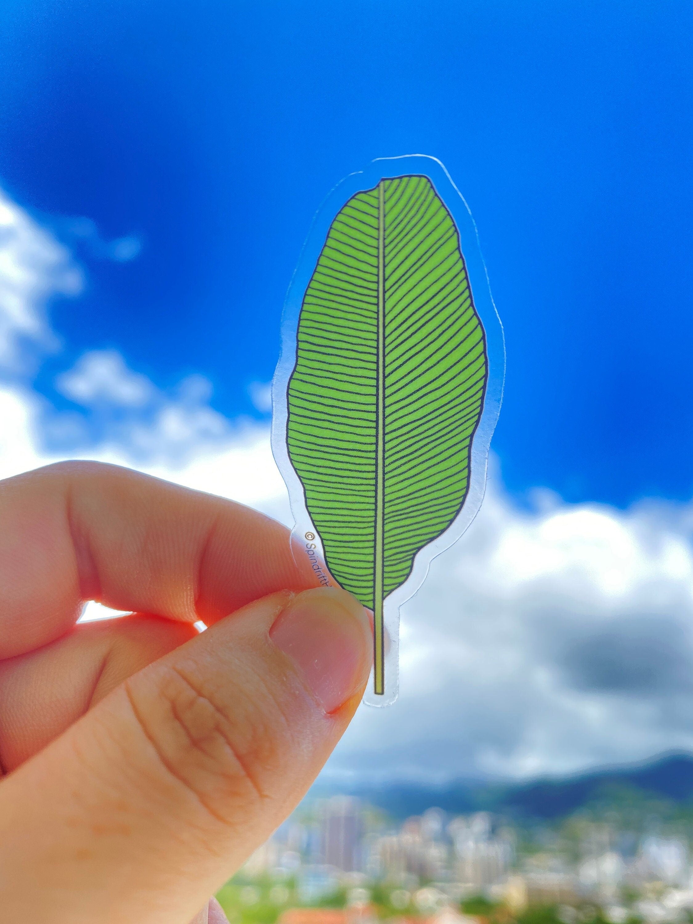 Green Banana Leaf Clear 2” Vinyl Die Cut Sticker
