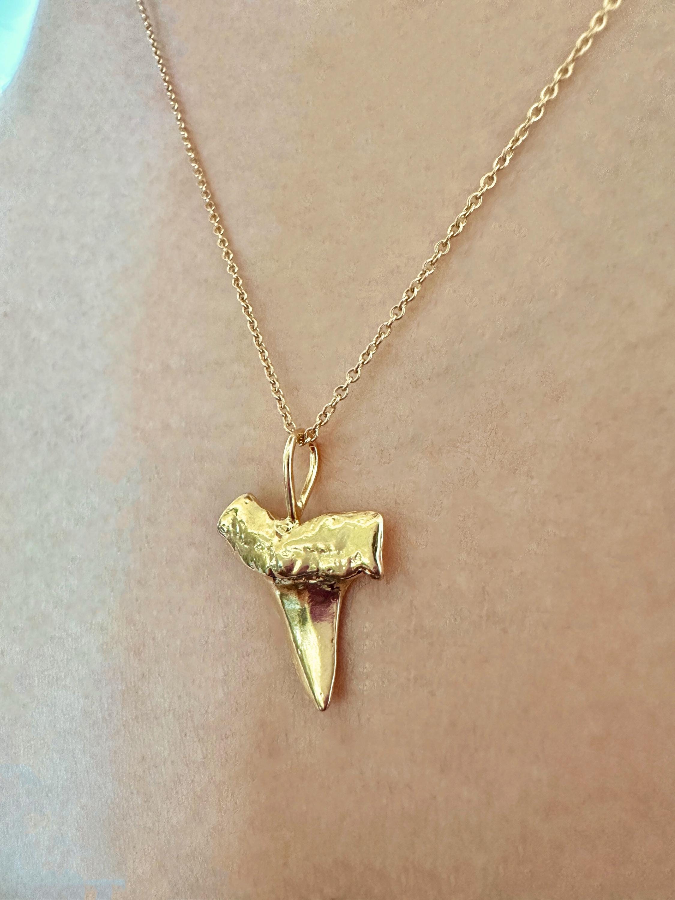 Gold Vermeil Shark Tooth Charm Necklace on 14K Gold Filled Chain
