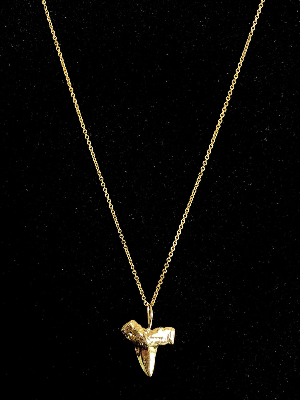 Gold Vermeil Shark Tooth Charm Necklace on 14K Gold Filled Chain