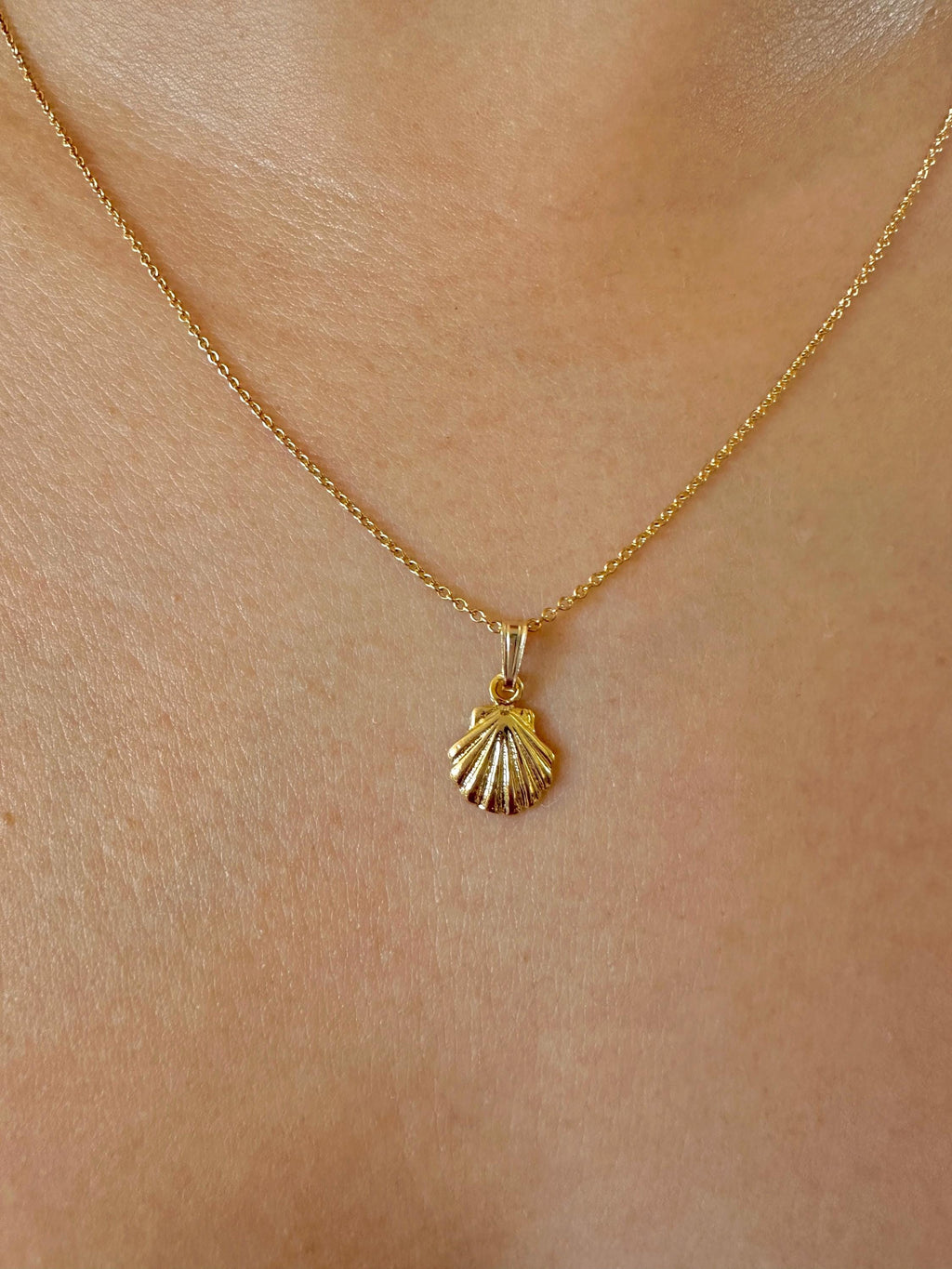 Small Scallop Shell Charm Necklace on 14K Gold Filled Chain