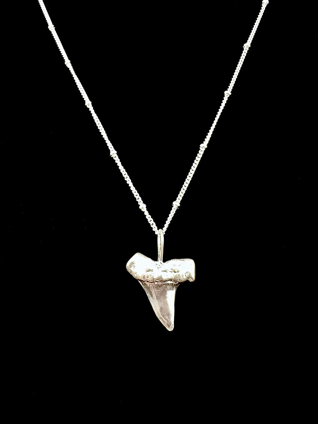 Shark Tooth Charm Necklace in Gold or Silver