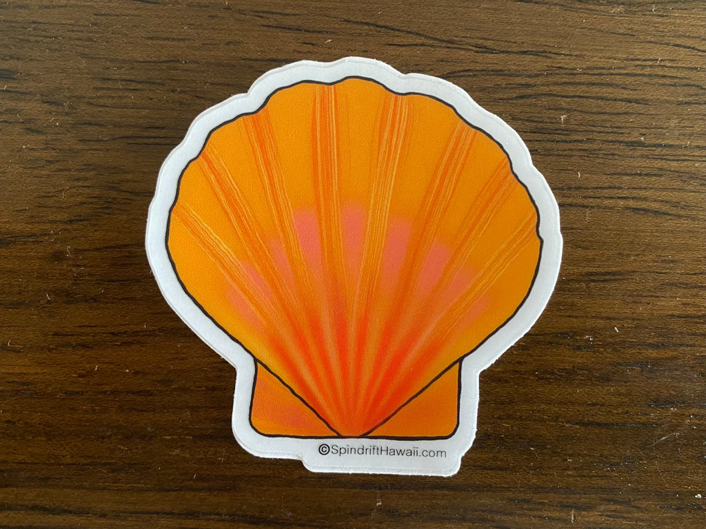 Classic Sunrise Shell Clear 2” Vinyl Die Cut Sticker