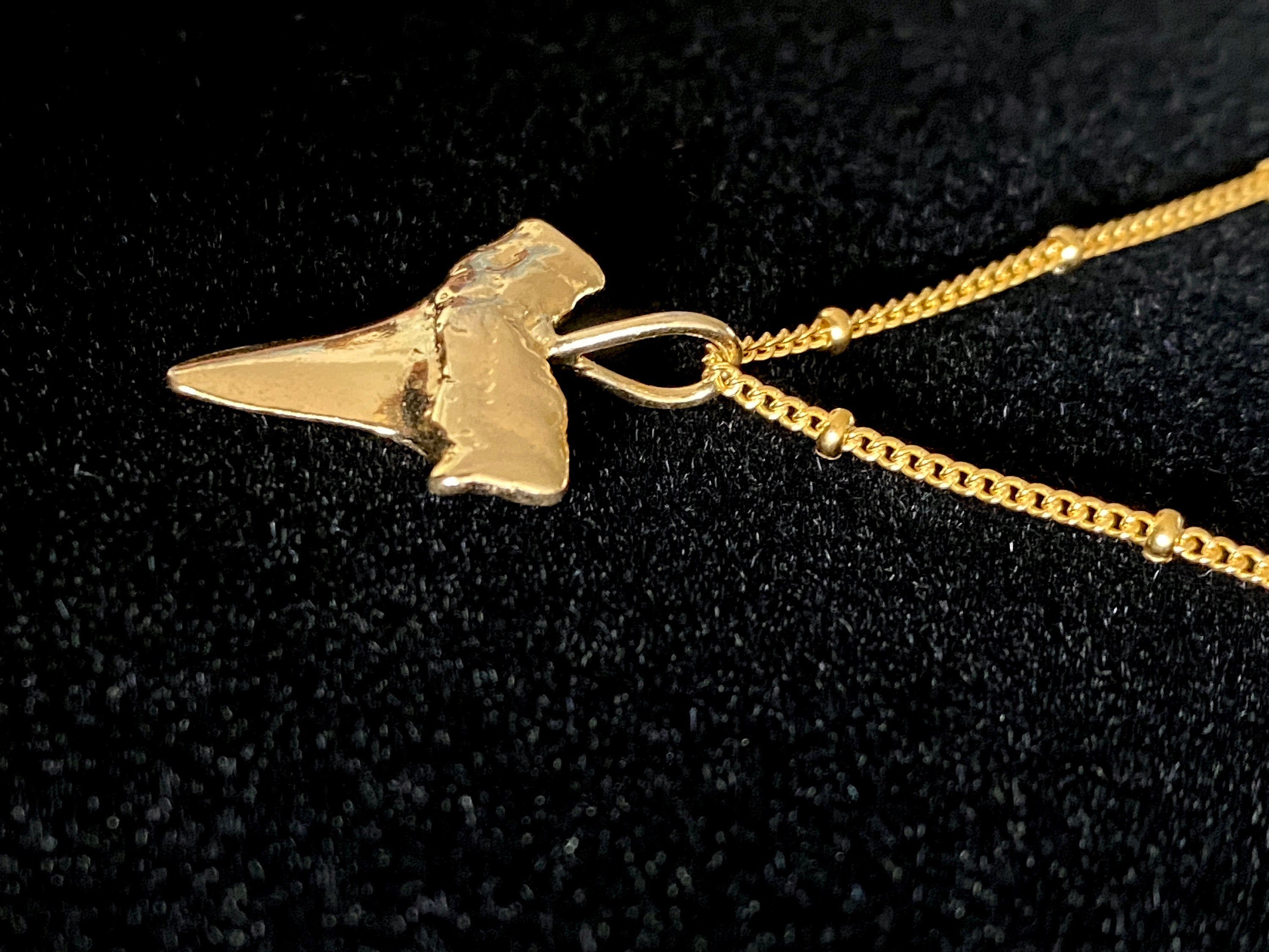 Gold Vermeil Shark Tooth Charm Necklace on 14K Gold Filled Chain