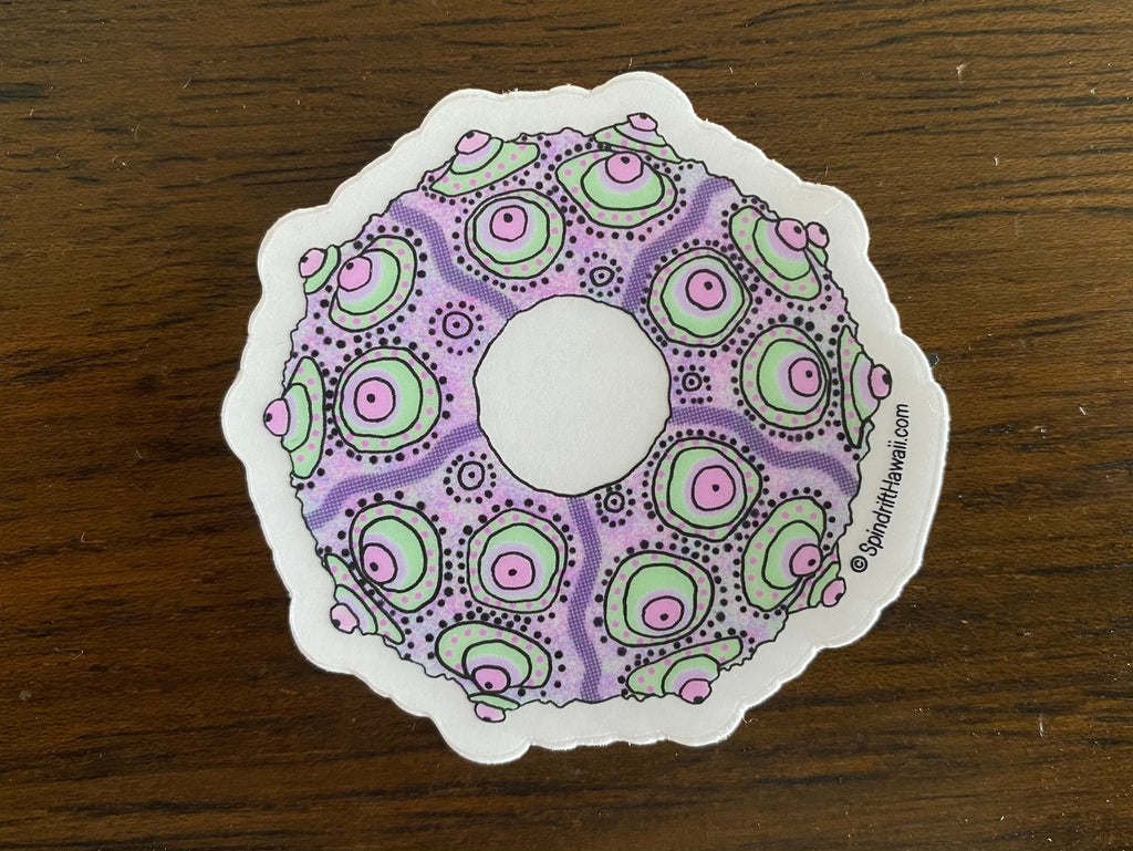 Uni Sea Urchin Shell Clear 2” Vinyl Die Cut Sticker