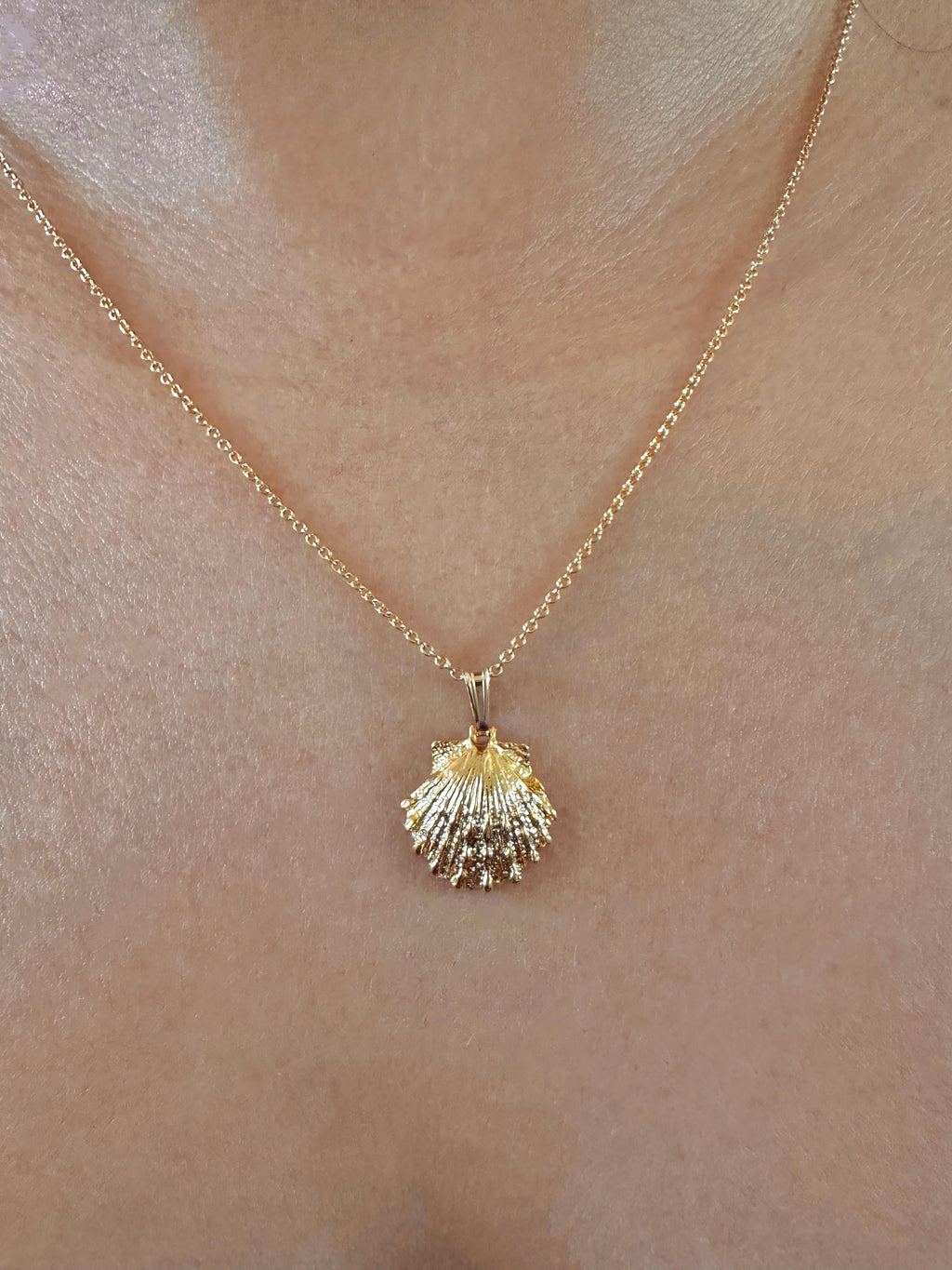 Medium Sunrise Scallop Shell Charm Necklace on 14K Gold Filled Chain