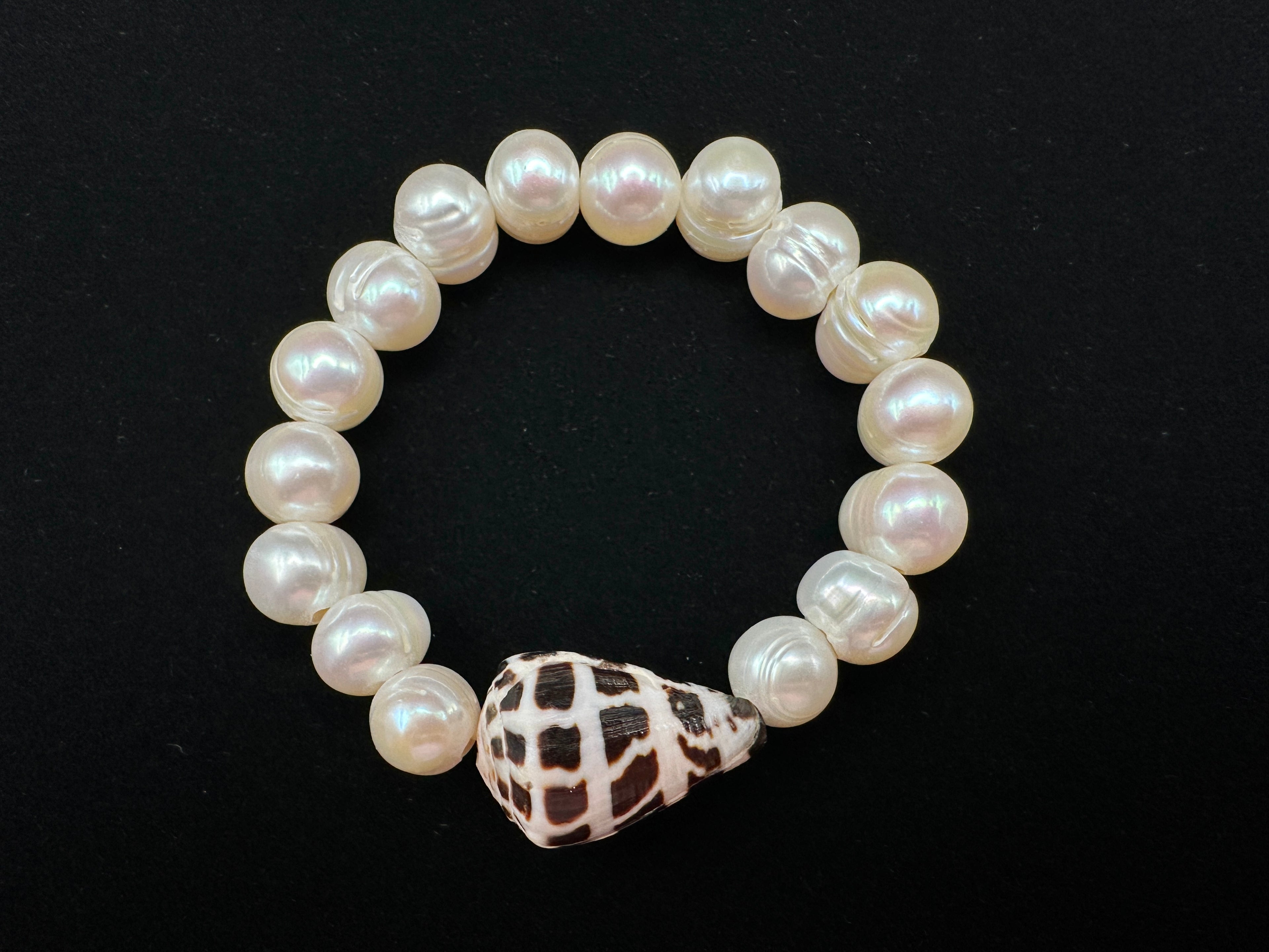 Hebrew Cone Shell and White Ringed Freshwater Pearl Stretch Bracelet