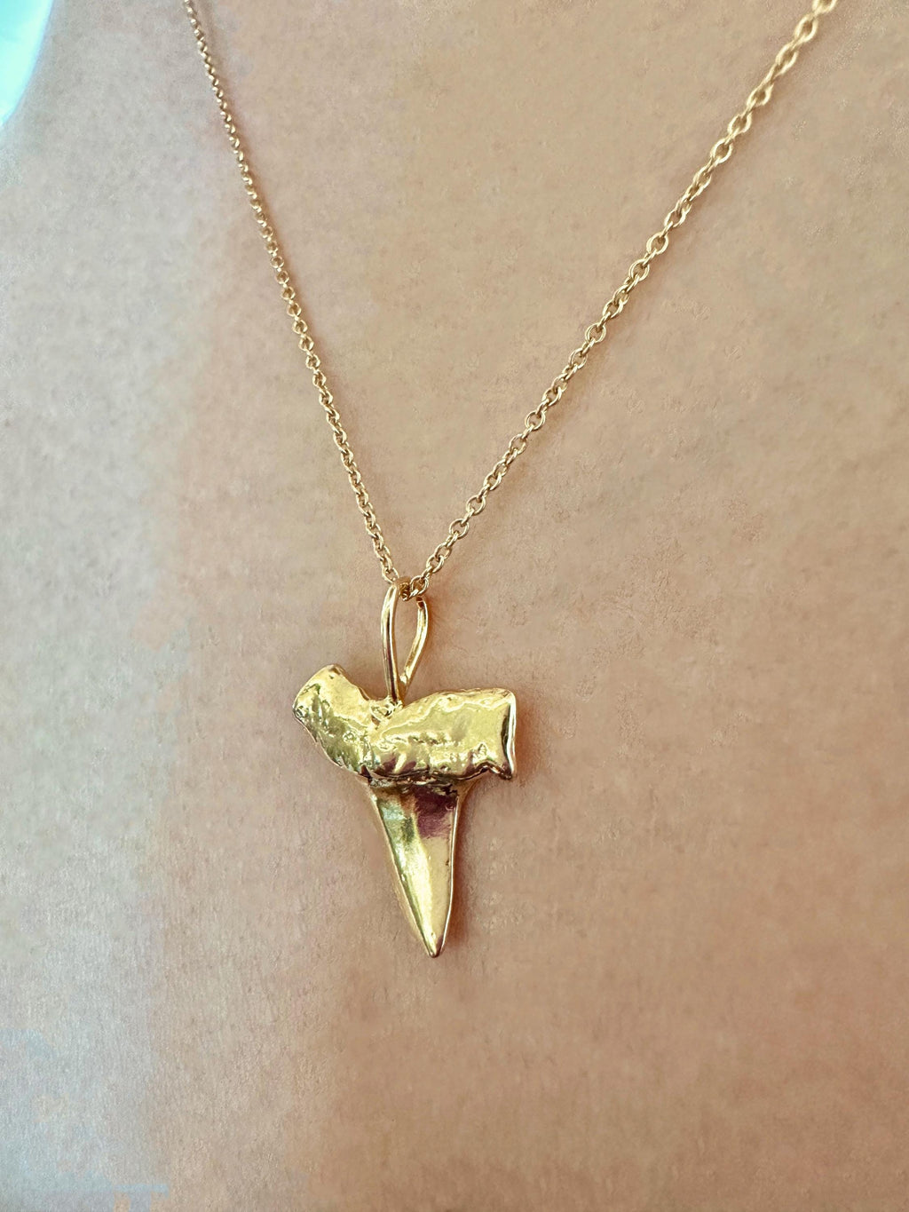 Gold Vermeil Shark Tooth Charm Necklace on 14K Gold Filled Chain